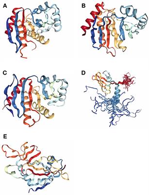 Research Progress on PARP14 as a Drug Target